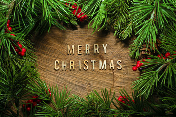 Wall Mural - christmas tree branches background