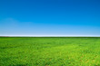 © Maxim Loskutnikov - landscape
