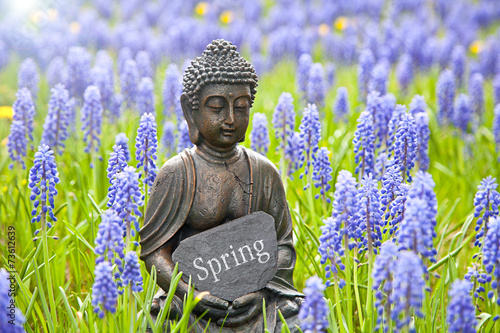 Spring Принти на полотні