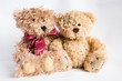 © skeppsholmen - Peluches oursons