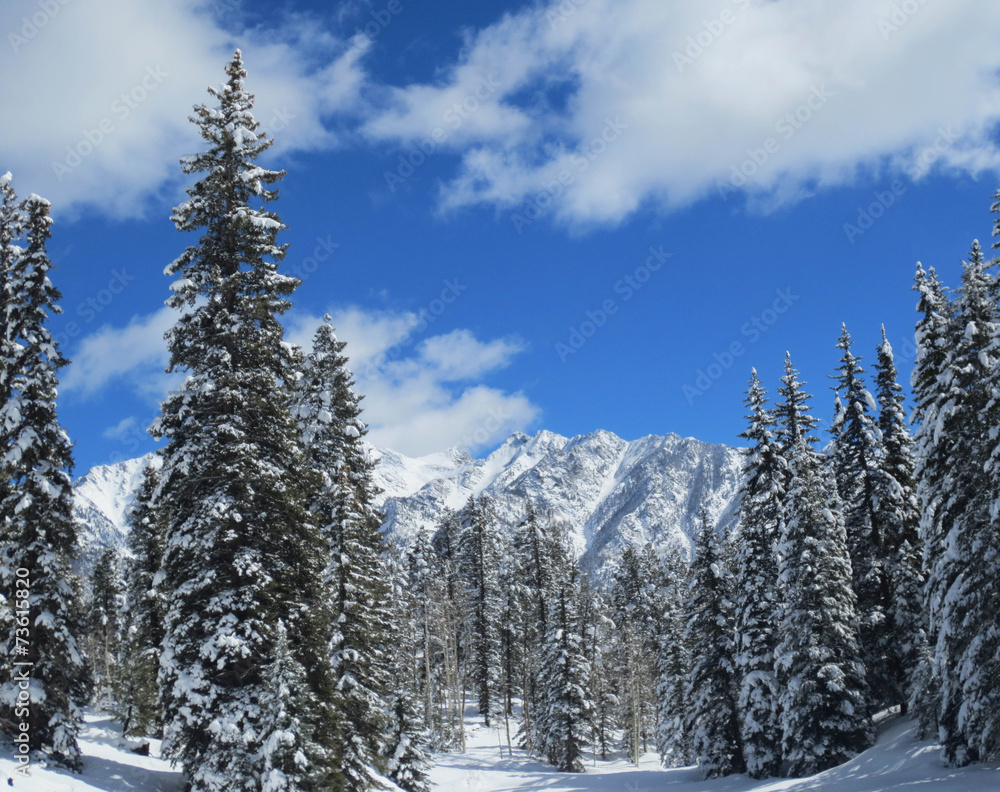 Winter Scene - Rocky Mountains - obrazy, fototapety, plakaty 