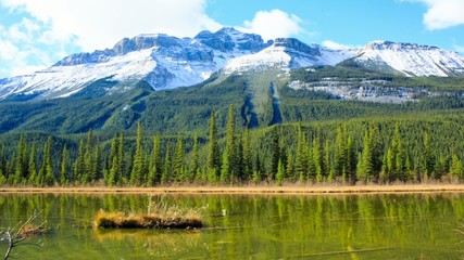 Wall Mural - Quiet and picturesque canadian lake