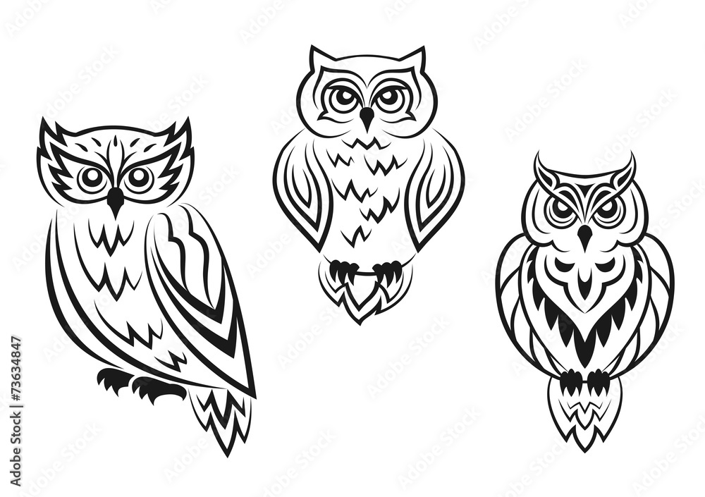Poster Black And White Owl Bird Tatoos Nikkel Art