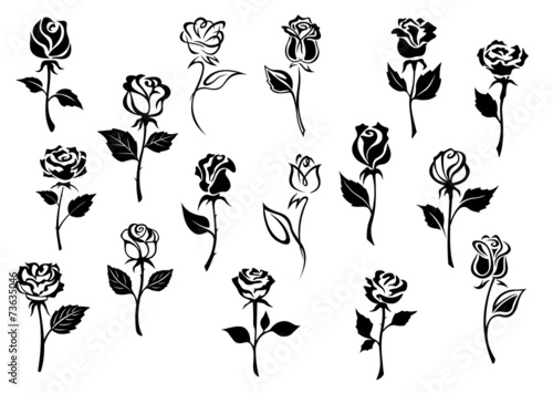 Naklejka dekoracyjna Black and white roses flowers