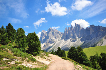 Wall Mural - Hiking path in Alps