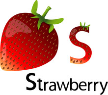 Illustrator S Font With Strawberry