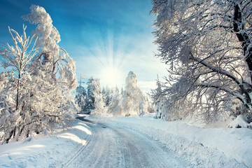 Canvas Print - verschneite Strasse im Winter