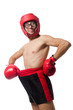 © Elnur - Funny boxer isolated on the white