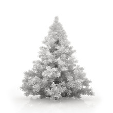 White Christmas Tree Isolated On White Background