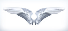 Wings, Vector Illustration