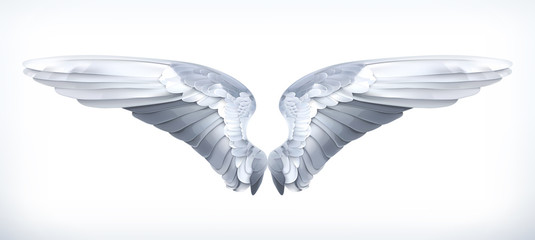 Canvas Print - Wings, vector illustration