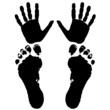 © podsolnykh - hand and feet