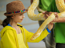 Trip To The Zoo - Girl And Snake At The Zoo