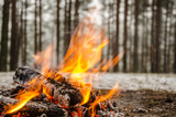 Fototapeta Panele - Fire in the winter forest