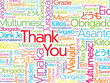 © dizain - Colorful Thank You Word Cloud in vector format