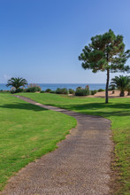 Trail In Path Of The Golf Park On A Sea Background.
