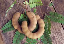 Young Tamarind On A Wooden