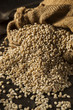 © Brent Hofacker - Raw Organic Barley Grain