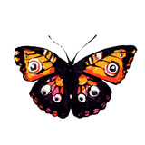 Fototapeta Motyle - butterfly268