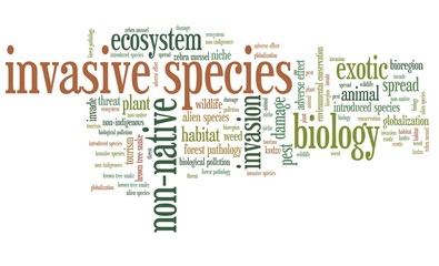 Invasive species. Word cloud concepts.