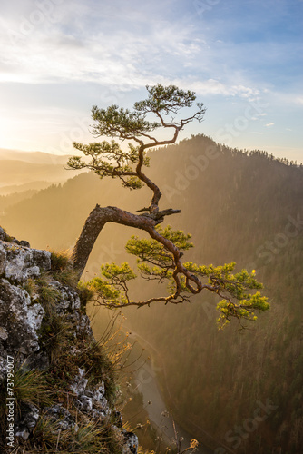 Naklejka - mata magnetyczna na lodówkę Sona