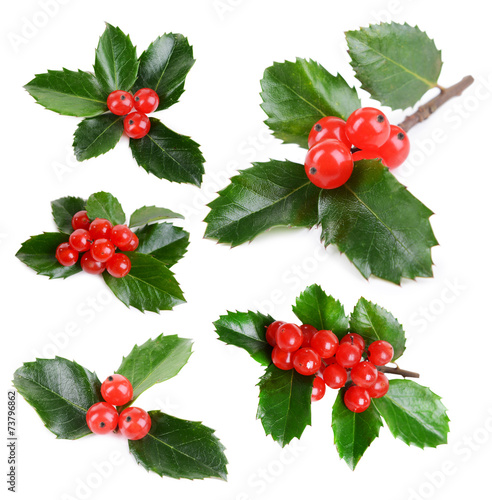 Fotografie, Obraz Leaves of mistletoe with berries collage, isolated on white