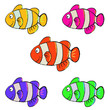 Clownfish vector