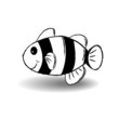 Clownfish vector