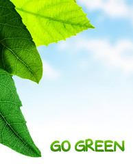 Poster - Green leaves border