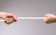 © DragonImages - Tug of war