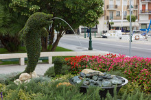 Dolphin Shaped Fountain In City Park Garden