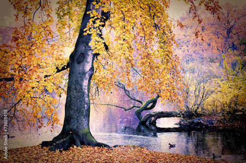 Naklejka - mata magnetyczna na lodówkę Pond in the park