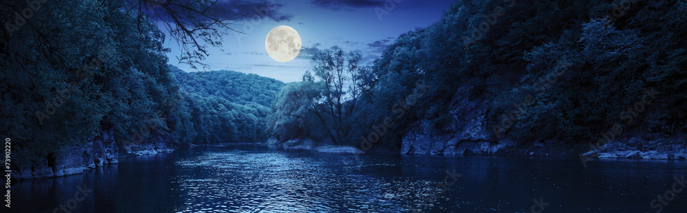 forest river with stones on shores at night - obrazy, fototapety, plakaty 