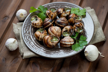 Wall Mural - Ceramic plate with escargots de Bourgogne, garlic and parsley