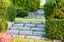 Stone Steps In Park