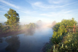 Fototapeta Las - fog on the river