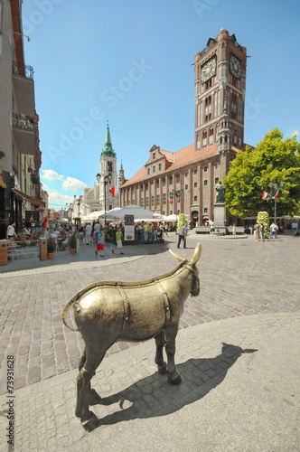 Fotografía Esel, Rathaus, Torun, #8726