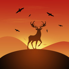 Deer At Sunset