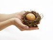 © Tran-Photography - Hände halten Nest mit Ei 2