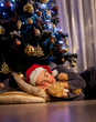 © Denizo - A boy sleeps under the Christmas tree