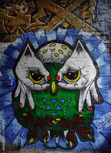 Graffiti Canvas Print