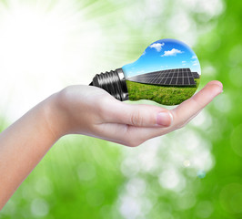 Wall Mural - hand holding solar panels in light bulb. green energy concept.