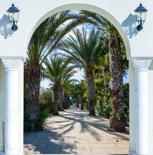 Obraz w ramie arch door on the palm alley