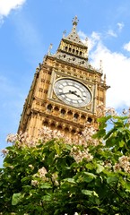 Wall Mural - Detail of the famous Big Ben in London