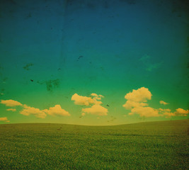 Wall Mural - green field