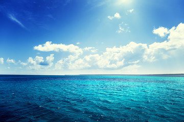 Wall Mural - caribbean sea and perfect sky