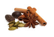 Anise, cardamom, nutmeg and cinnamon sticks on a white backgroun