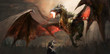 canvas print picture - knight fighting dragon