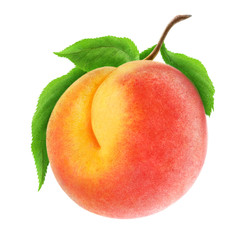Fototapete - Isolated peach. Fresh peach fruit on a branch isolated on white, with clipping path