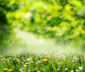 grass background